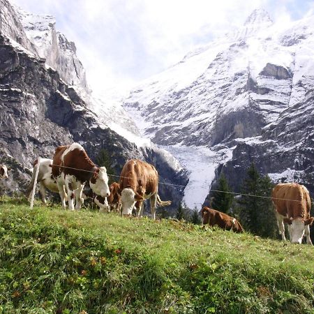 Firstsunne Leilighet Grindelwald Eksteriør bilde